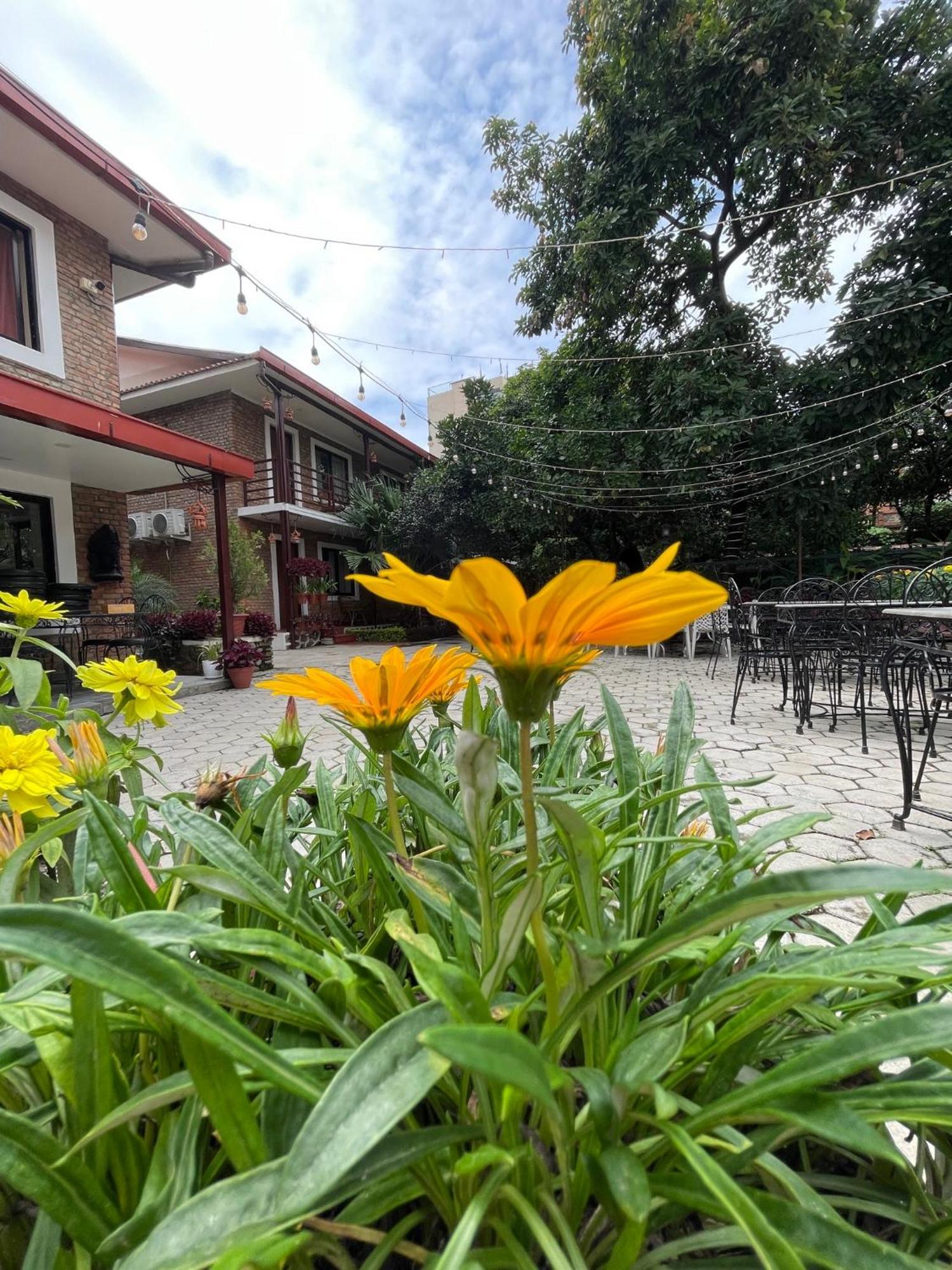 Nepal Cottage Resort Katmandu Zewnętrze zdjęcie